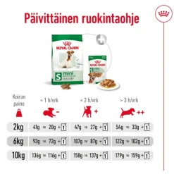 Royal Canin Mini Adult 8+