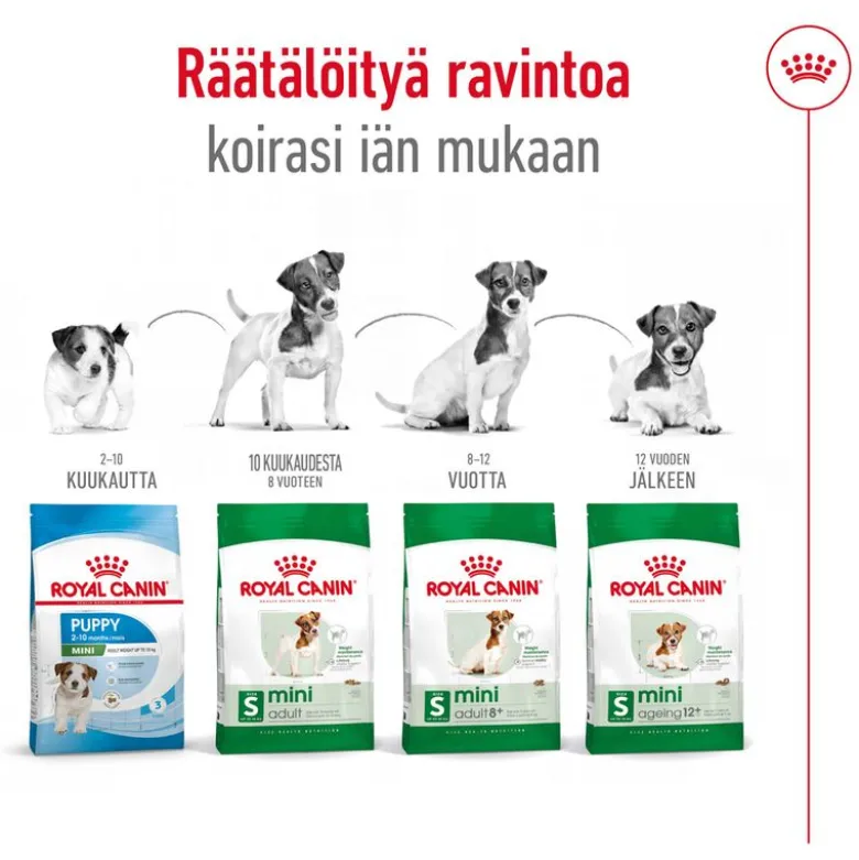 Royal Canin Mini Ageing 12+