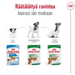 Royal Canin Mini Ageing kastikkeessa