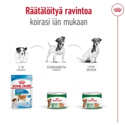 Royal Canin Mini Ageing Mousse