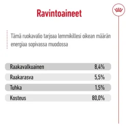 Royal Canin Mini Ageing Mousse