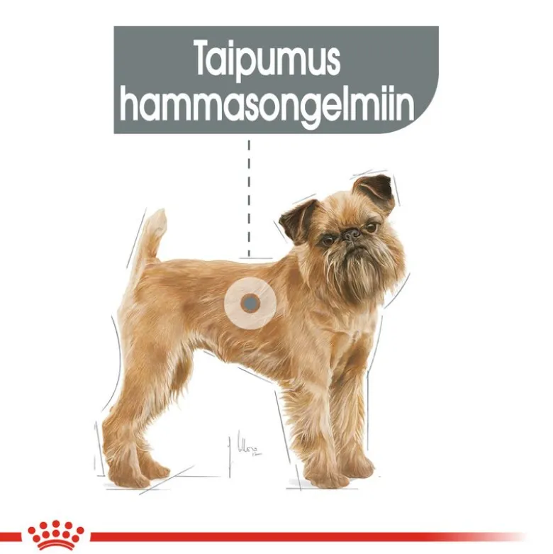Royal Canin Mini Dental Care
