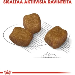 Royal Canin Mini Dental Care