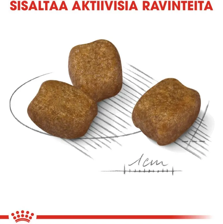 Royal Canin Mini Dental Care