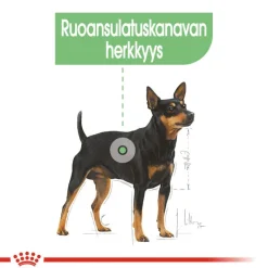 Royal Canin Mini Digestive Care