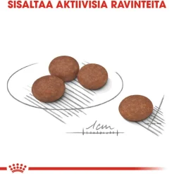 Royal Canin Mini Digestive Care