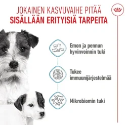 Royal Canin Mini Starter Mother & Babydog