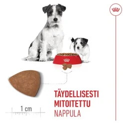 Royal Canin Mini Starter Mother & Babydog