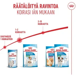 Royal Canin Mini Starter Mother & Babydog
