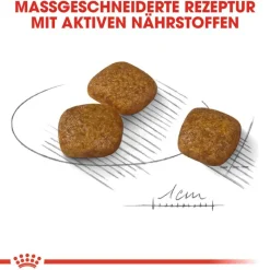 Royal Canin Mini Urinary Care
