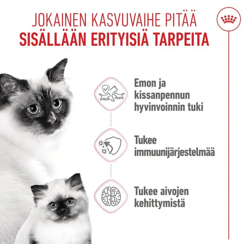 Royal Canin Mother & Babycat