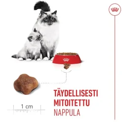 Royal Canin Mother & Babycat