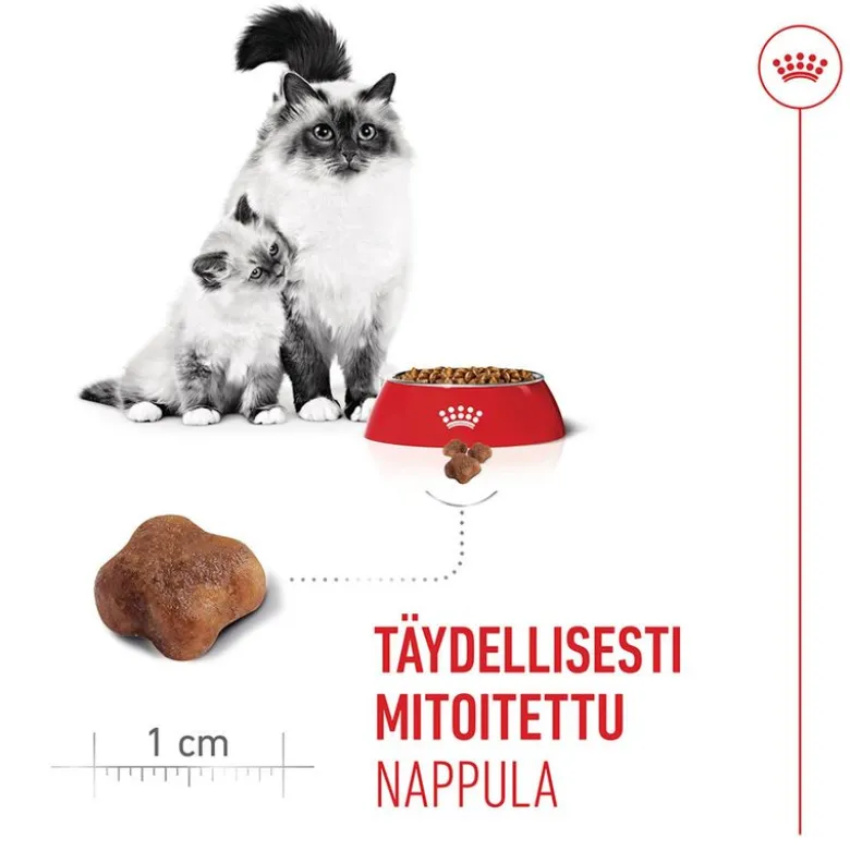 Royal Canin Mother & Babycat