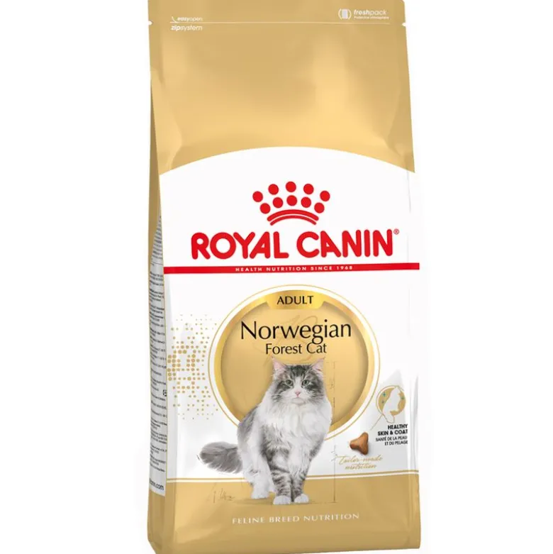 Royal Canin Norwegian Forest Cat Adult