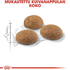 Royal Canin Outdoor