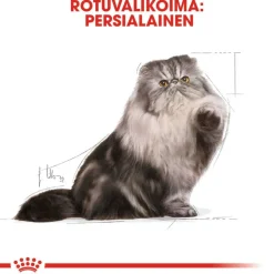 Royal Canin Persian Adult Mousse