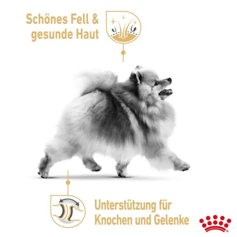 Royal Canin Pomeranian Adult Mousse