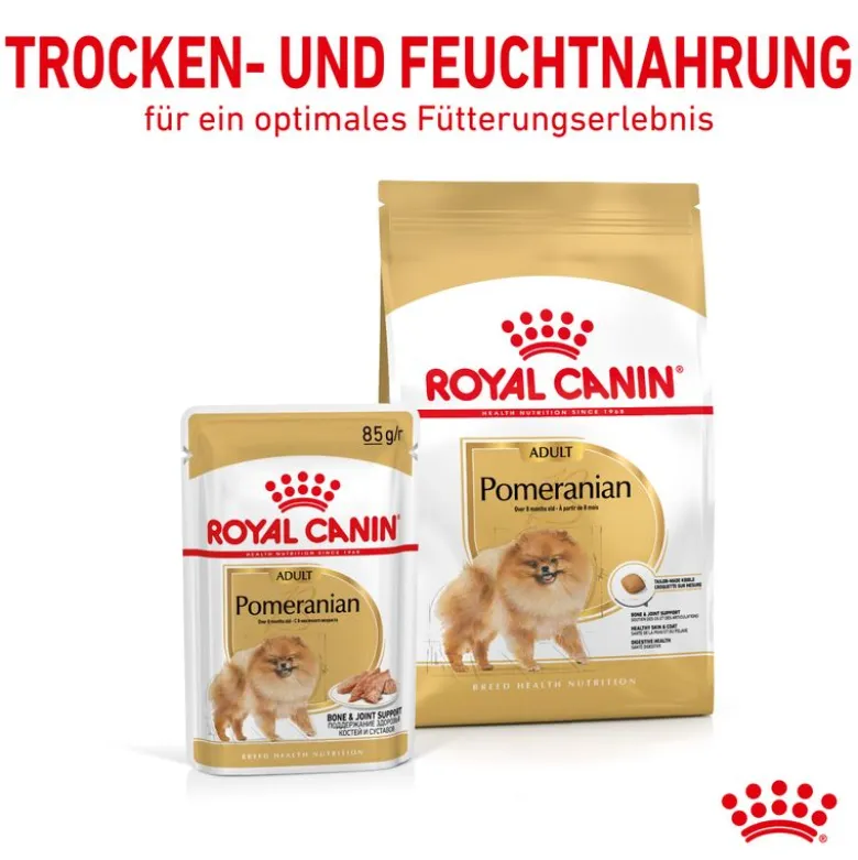 Royal Canin Pomeranian Adult Mousse