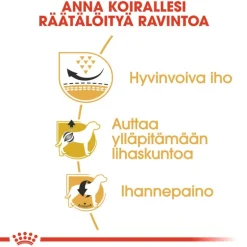 Royal Canin Pug Adult