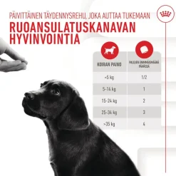 Royal Canin Puppy Immunity & Digestion Chews Supplement