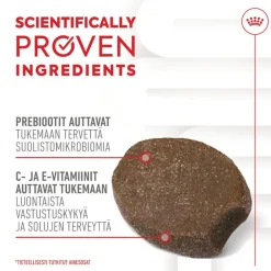 Royal Canin Puppy Immunity & Digestion Chews Supplement