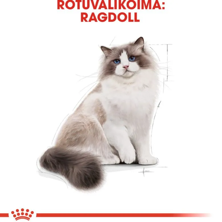 Royal Canin Ragdoll Adult