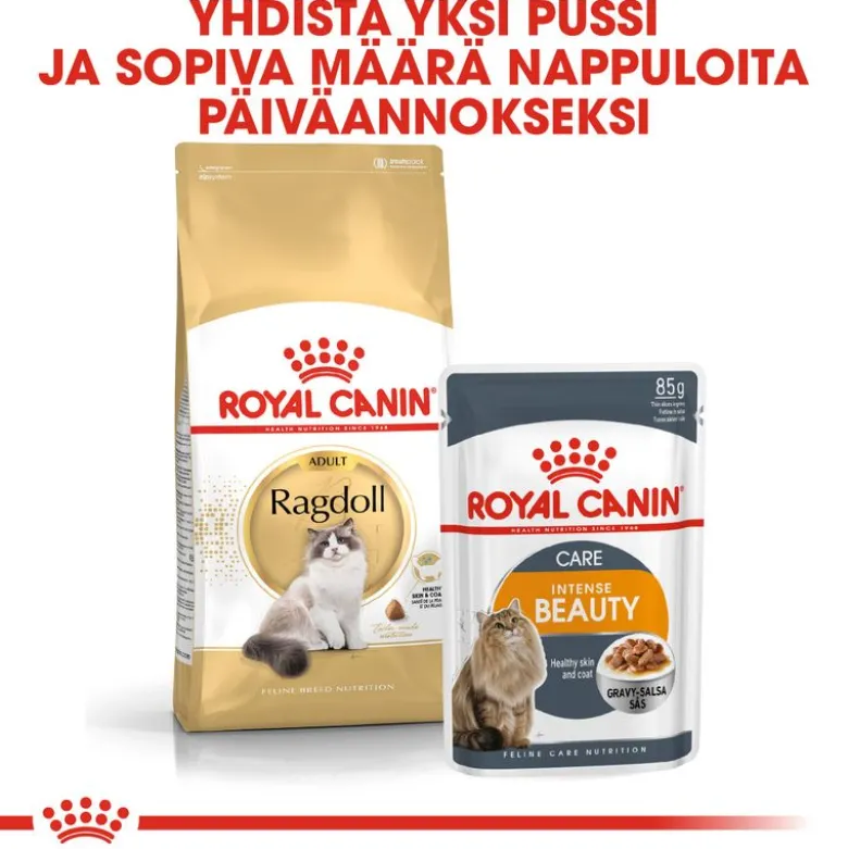 Royal Canin Ragdoll Adult