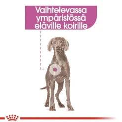 Royal Canin Relax Care Maxi