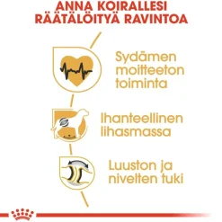 Royal Canin Rottweiler Adult