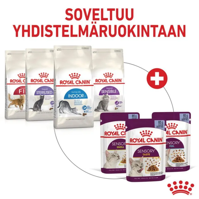 Royal Canin Sensory Feel hyytelössä