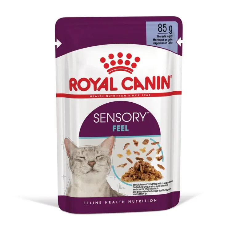 Royal Canin Sensory Feel hyytelössä