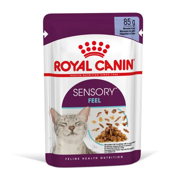 Royal Canin Sensory Feel hyytelössä