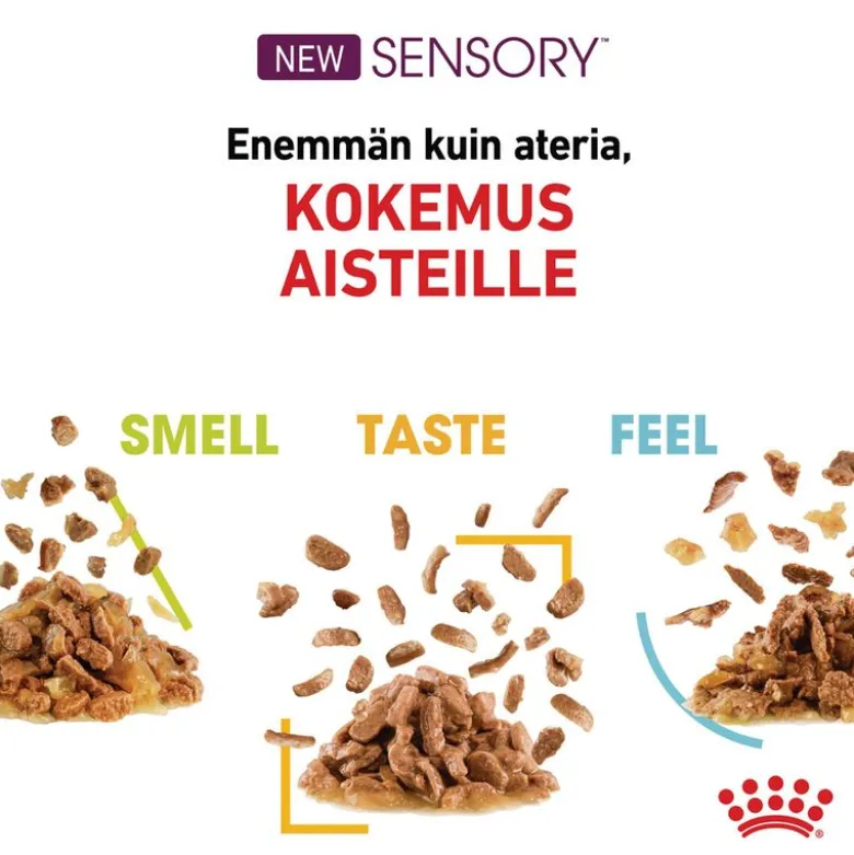 Royal Canin Sensory Feel hyytelössä