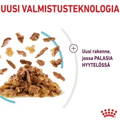 Royal Canin Sensory Feel hyytelössä