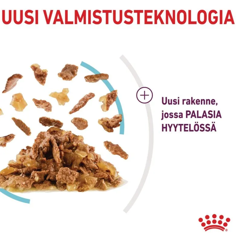 Royal Canin Sensory Feel hyytelössä