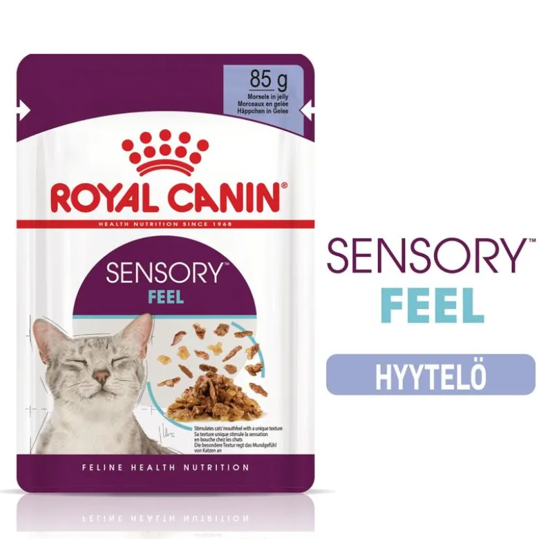 Royal Canin Sensory Feel hyytelössä