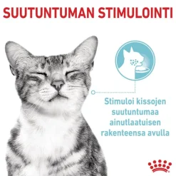 Royal Canin Sensory Feel hyytelössä
