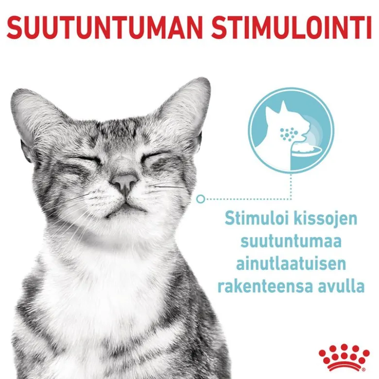 Royal Canin Sensory Feel hyytelössä