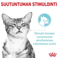 Royal Canin Sensory Feel kastikkeessa