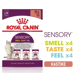 Royal Canin Sensory kastikkeessa -kokeilupakkaus