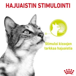 Royal Canin Sensory kastikkeessa -kokeilupakkaus