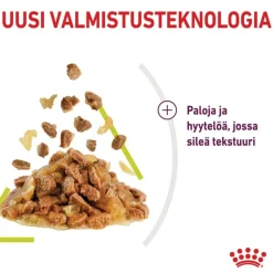 Royal Canin Sensory Smell hyytelössä