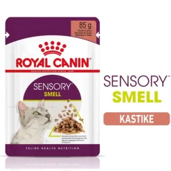 Royal Canin Sensory Smell kastikkeessa