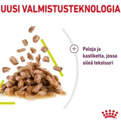 Royal Canin Sensory Smell kastikkeessa