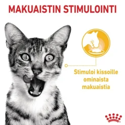Royal Canin Sensory Taste hyytelössä