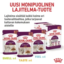 Royal Canin Sensory Taste hyytelössä