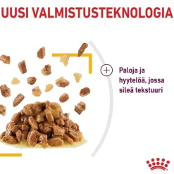 Royal Canin Sensory Taste hyytelössä