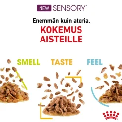 Royal Canin Sensory Taste kastikkeessa