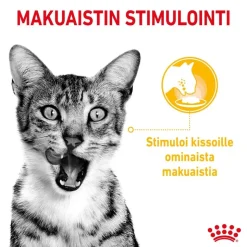 Royal Canin Sensory Taste kastikkeessa