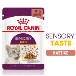 Royal Canin Sensory Taste kastikkeessa